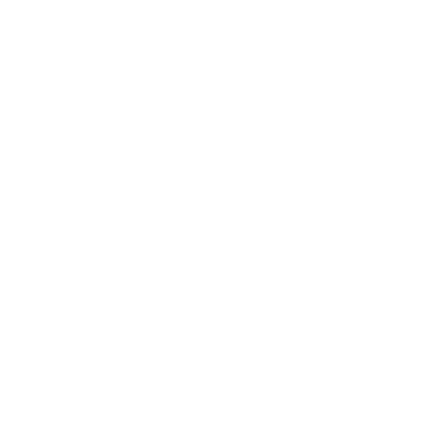 Speed Optimization Icon