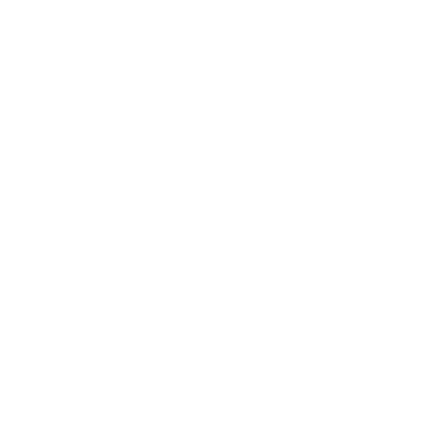 Conversion Optimization Icon